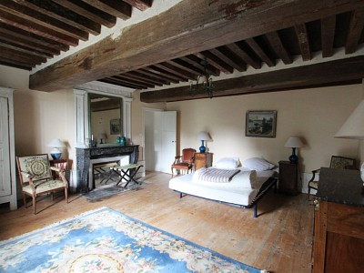 PROPRIETE DE FAMILLE A VENDRE - AUTUN - 500 m2 - 935000 €