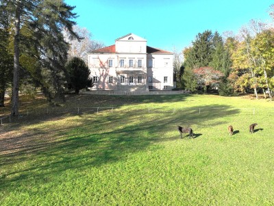CHATEAU A VENDRE - TOURNUS - 1316 m2 - 2 900 000 &euro;