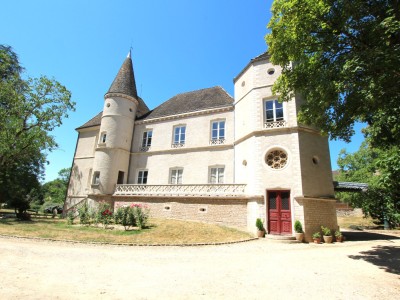 CHATEAU A VENDRE - TOURNUS - 697 m2 - 1 700 000 &euro;