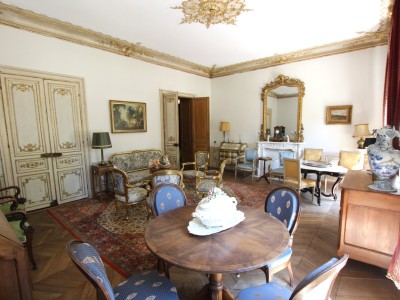 CHATEAU A VENDRE - TOURNUS - 697 m2 - 1 700 000 &euro;
