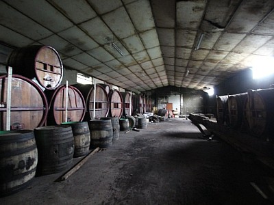 LOCAL D ACTIVITE A VENDRE - SENNECEY LE GRAND - 2440 m2 - 620 000 €