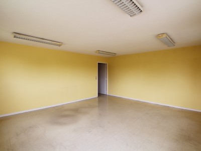 LOCAL INDUSTRIEL A VENDRE - TOURNUS - 3693 m2 - 2220000 €