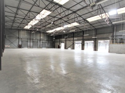 LOCAL INDUSTRIEL A VENDRE - TOURNUS - 3693 m2 - 2220000 €