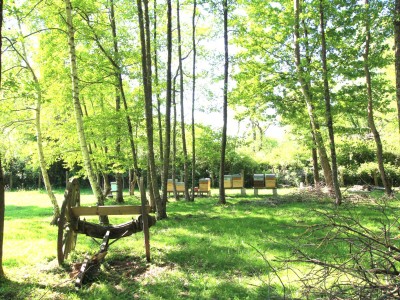 MAISON A VENDRE - SIMANDRE - 123 m2 - 325 000 &euro;