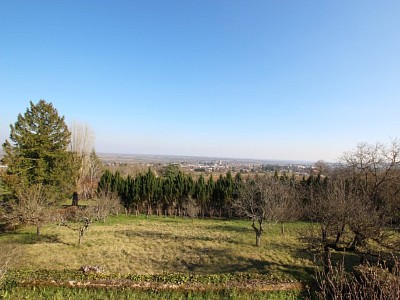 MAISON - TOURNUS - 229 m2 - 298000 €