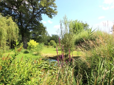 MAISON - LA GENETE - 141 m2 - VENDU