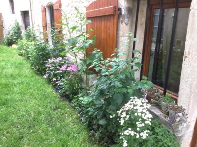 MAISON A VENDRE - TOURNUS - 185 m2 - 259 000 €