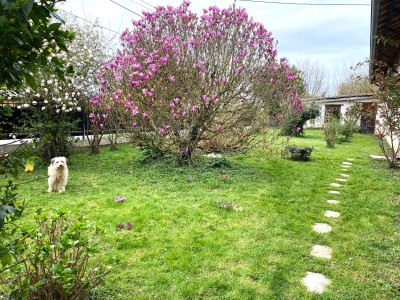 MAISON DE CARACTERE A VENDRE - TOURNUS - 129 m2 - 335 000 &euro;
