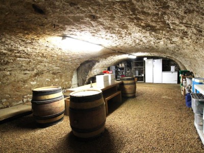 PROPRIETE A VENDRE - CLUNY - 481 m2 - 999000€