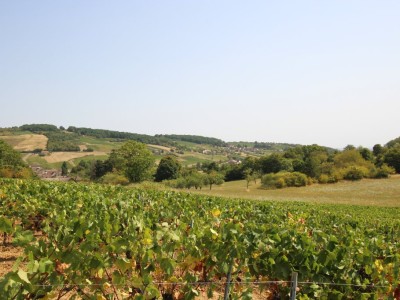 PROPRIETE A VENDRE - GIVRY - 292 m2 - 400000€