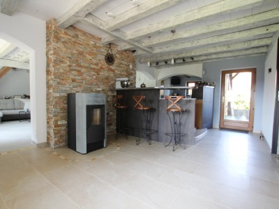 FERME BRESSANNE RENOVEE A VENDRE - LOUHANS - 159 m2 - 429000 €