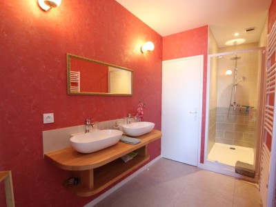 PROPRIETE A VENDRE - LOUHANS - 450 m2 - 970 000 €
