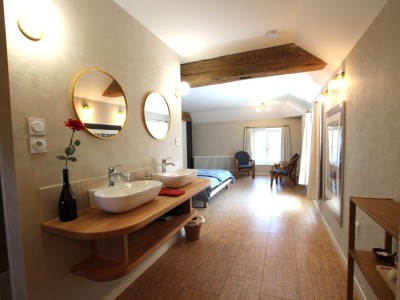 PROPRIETE A VENDRE - LOUHANS - 450 m2 - 970 000 €