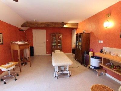 PROPRIETE A VENDRE - LOUHANS - 450 m2 - 970 000 €