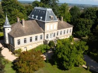 SUPERBE PROPRIETE DU XIX PARC PISCINE DEPENDANCE A VENDRE - MACON - 578 m2 - 1 550 000 €