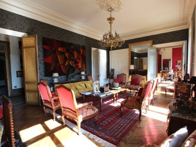 SUPERBE PROPRIETE DU XIX  PARC PISCINE DEPENDANCE A VENDRE - MACON - 578 m2 - 1695000€