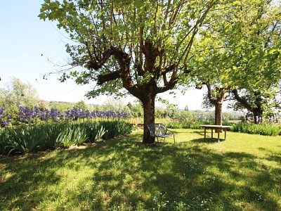 PROPRIETE A VENDRE - TOURNUS - 271 m2 - 250000 €