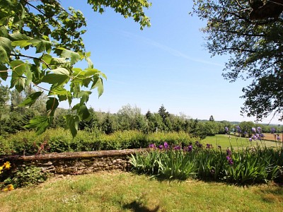 PROPRIETE A VENDRE - TOURNUS - 271 m2 - 250000 €