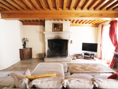 PROPRIETE A VENDRE - TOURNUS - 344 m2 - 960000 €