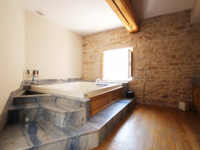 PROPRIETE A VENDRE - TOURNUS - 344 m2 - 960000 €