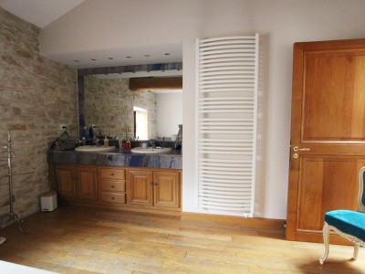 PROPRIETE A VENDRE - TOURNUS - 344 m2 - 960000 €