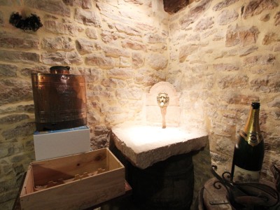PROPRIETE A VENDRE - TOURNUS - 344 m2 - 960000 €