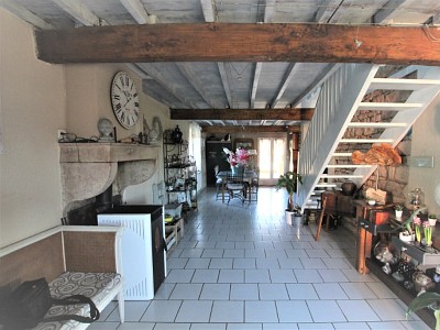 PROPRIETE A VENDRE - TOURNUS - 366 m2 - 475000 €