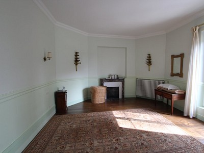 PROPRIETE A VENDRE - TOURNUS - 418 m2 - 990000 €