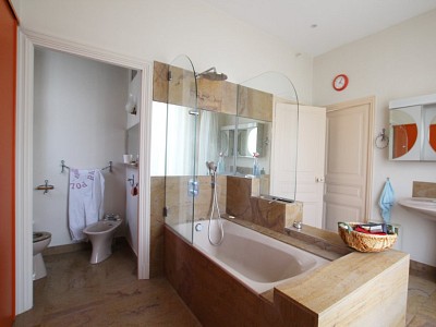 PROPRIETE A VENDRE - TOURNUS - 418 m2 - 990000 €