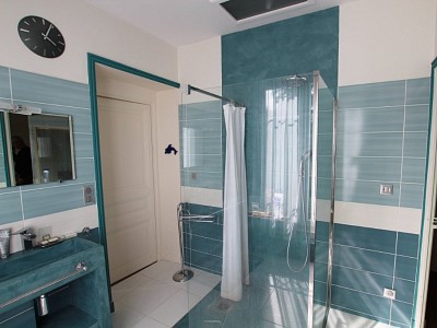 PROPRIETE A VENDRE - TOURNUS - 418 m2 - 990000 €