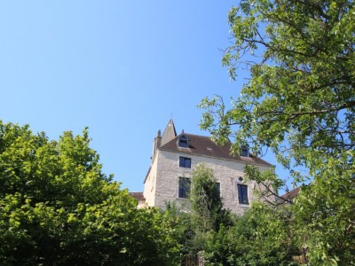 PROPRIETE A VENDRE - TOURNUS - 349 m2 - 1250000 €