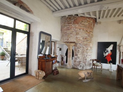 PROPRIETE A VENDRE - TOURNUS - 349 m2 - 1250000 €