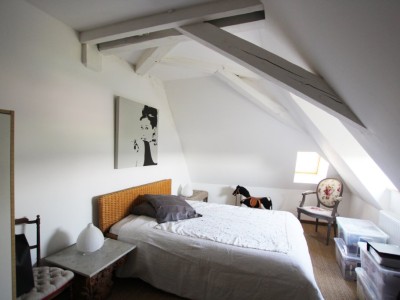 PROPRIETE A VENDRE - TOURNUS - 349 m2 - 1250000 €