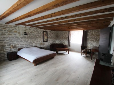 PROPRIETE A VENDRE - TOURNUS - 627 m2 - 1278000 €