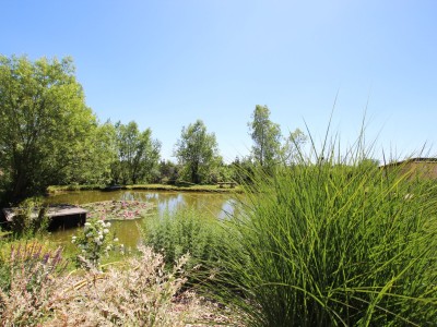 PROPRIETE A VENDRE - TOURNUS - 283 m2 - 585000€