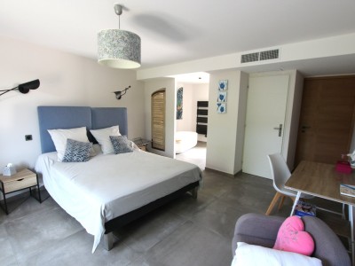 PROPRIETE A VENDRE - TOURNUS - 338 m2 - 845 000 €