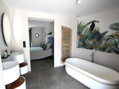 PROPRIETE A VENDRE - TOURNUS - 338 m2 - 845 000 €