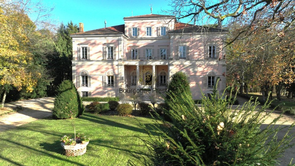CHATEAU A VENDRE - TOURNUS - 1316 m2 - 2 900 000 &euro;