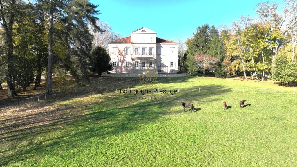 CHATEAU A VENDRE - TOURNUS - 1316 m2 - 2 900 000 &euro;