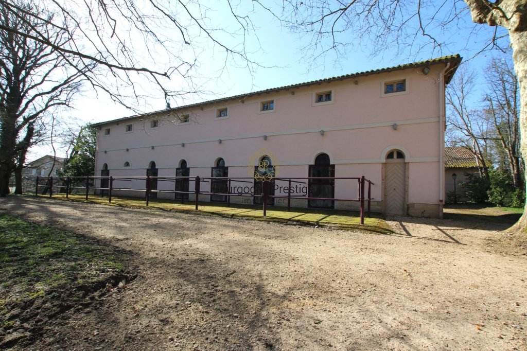 CHATEAU A VENDRE - TOURNUS - 1316 m2 - 2 900 000 &euro;