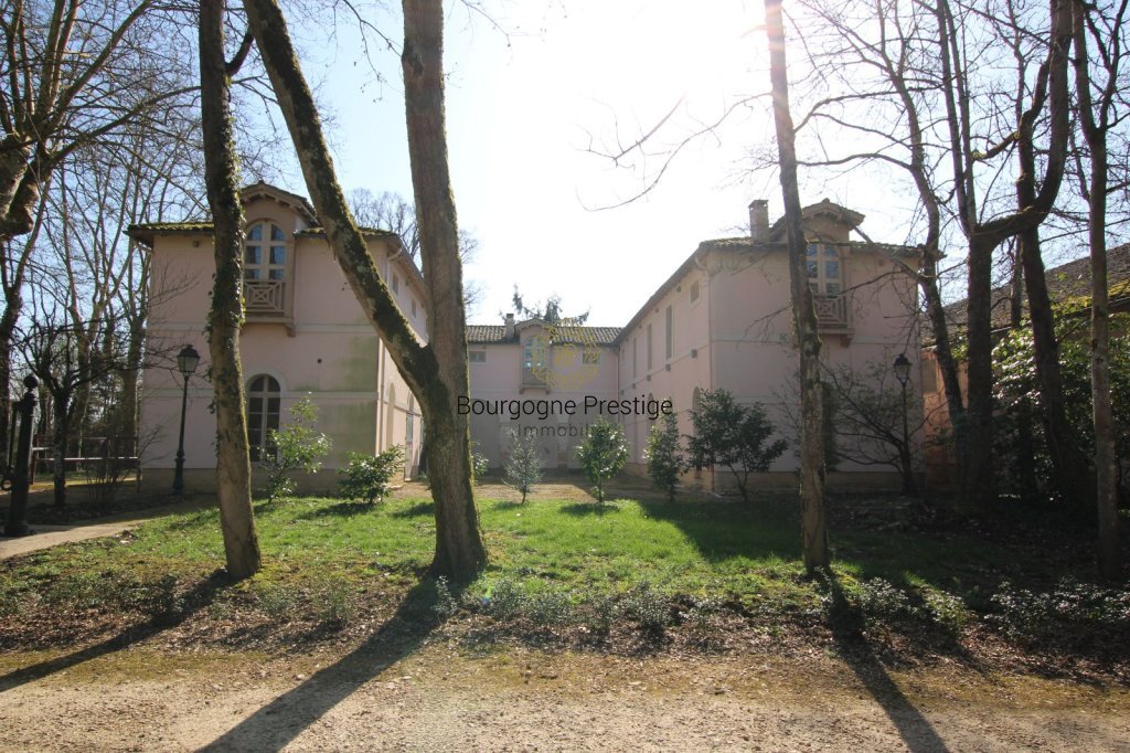 CHATEAU A VENDRE - TOURNUS - 1316 m2 - 2 900 000 &euro;