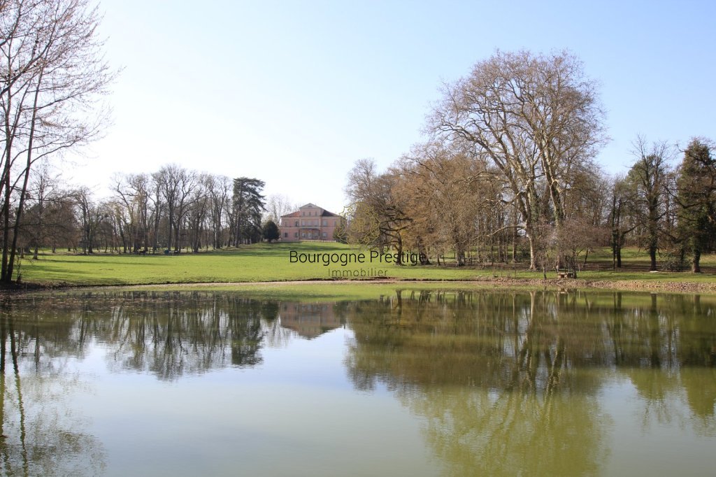 CHATEAU A VENDRE - TOURNUS - 1316 m2 - 2 900 000 &euro;