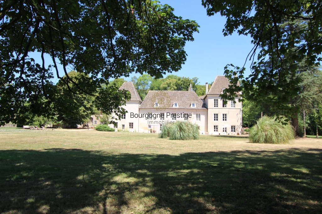 CHATEAU A VENDRE - TOURNUS - 697 m2 - 1 700 000 &euro;