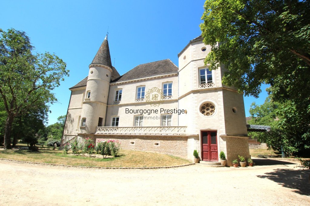 CHATEAU A VENDRE - TOURNUS - 697 m2 - 1 700 000 &euro;