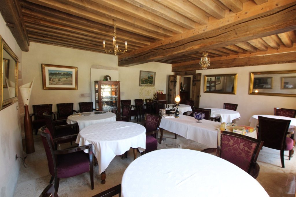 CHATEAU A VENDRE - TOURNUS - 697 m2 - 1 700 000 &euro;