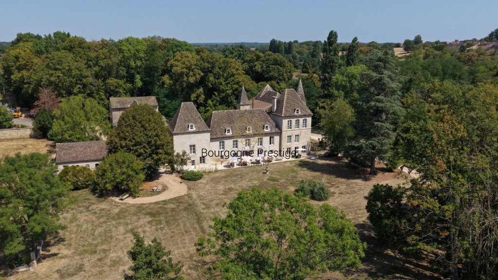 CHATEAU A VENDRE - TOURNUS - 697 m2 - 1 700 000 &euro;