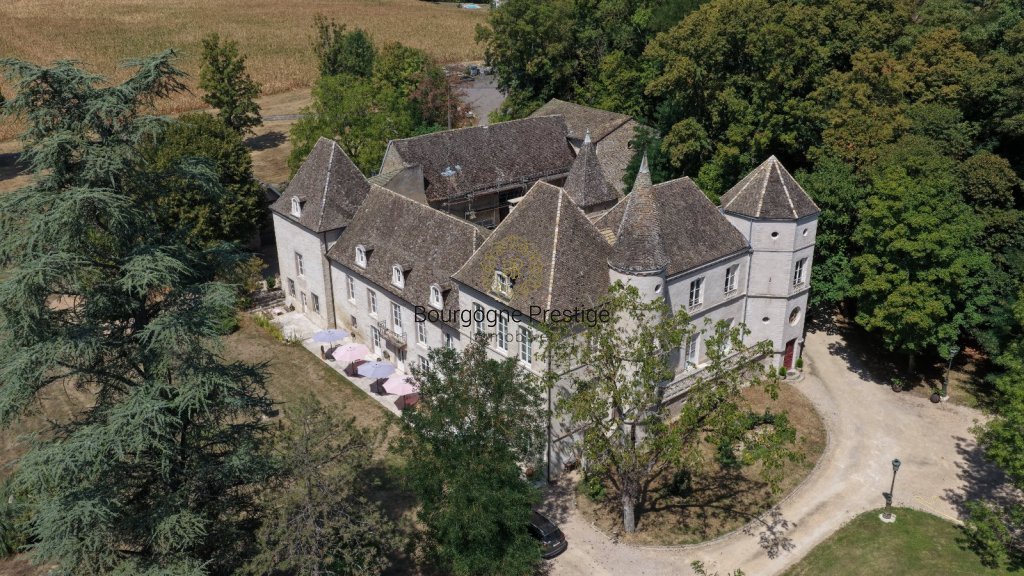 CHATEAU A VENDRE - TOURNUS - 697 m2 - 1 700 000 &euro;