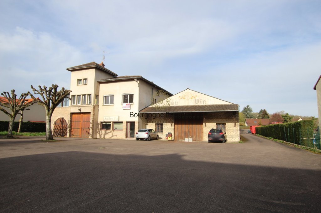 LOCAL D ACTIVITE A VENDRE - SENNECEY LE GRAND - 2440 m2 - 620 000 &euro;