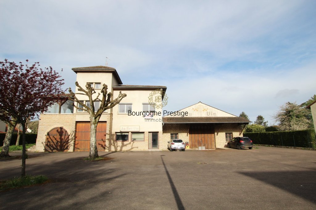 LOCAL D ACTIVITE A VENDRE - SENNECEY LE GRAND - 2440 m2 - 620 000 &euro;