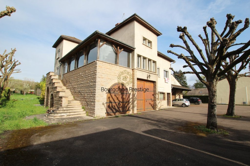 LOCAL D ACTIVITE A VENDRE - SENNECEY LE GRAND - 2440 m2 - 620 000 &euro;